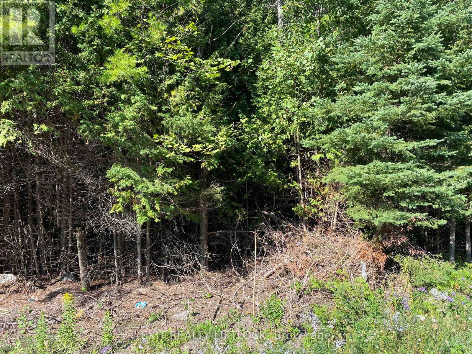 590 County Rd 40, Asphodel-Norwood (Norwood), Ontario  K0L 2V0 - Photo 5 - X12047388