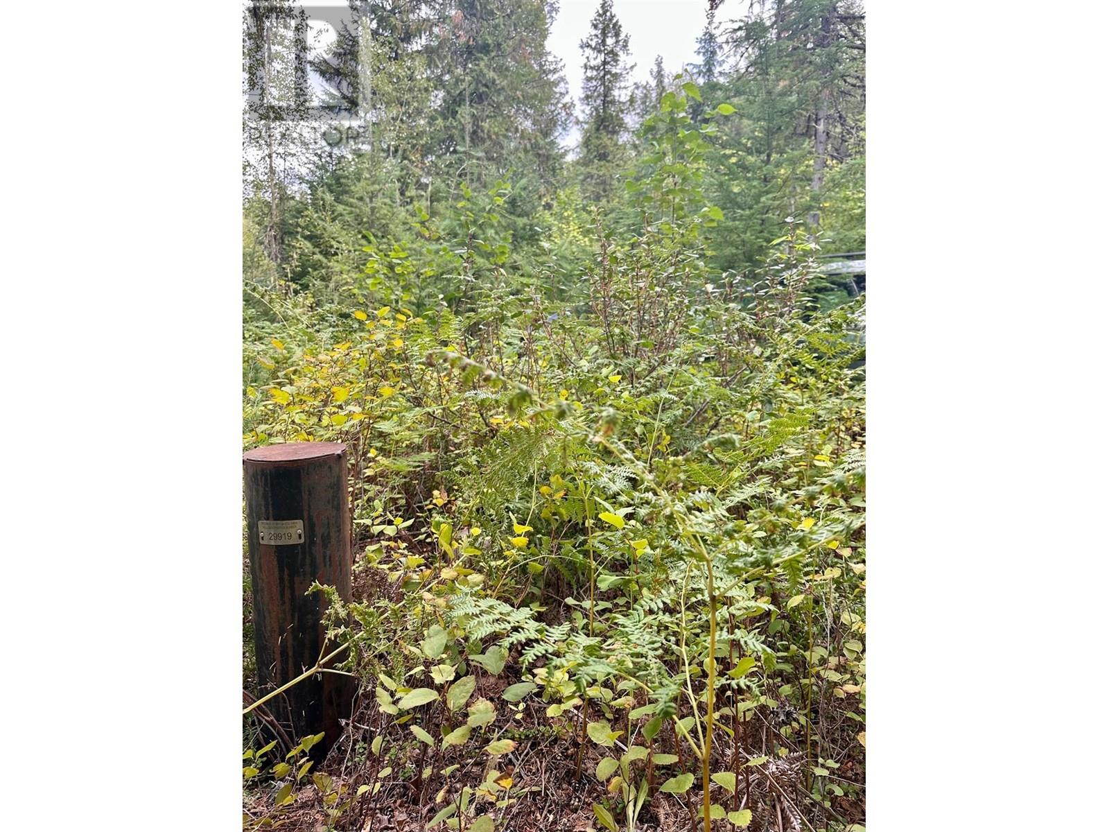 5105 3 Highway, Meadows, British Columbia  V0G 1Z0 - Photo 6 - 10340017