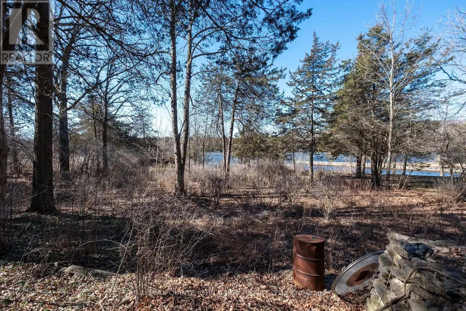 1385 Glen Miller Road, Quinte West, Ontario  K0K 2C0 - Photo 10 - X12047613
