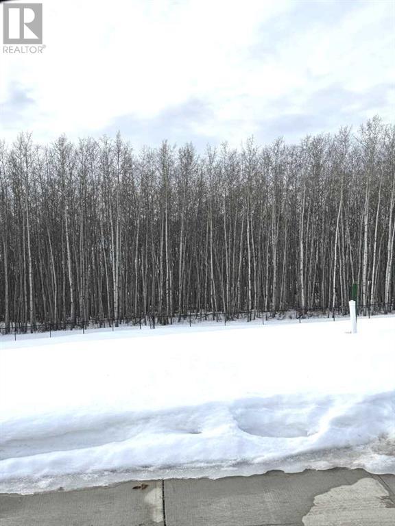 8102 121 Street, Grande Prairie, Alberta  T8W 0M7 - Photo 2 - A2200895