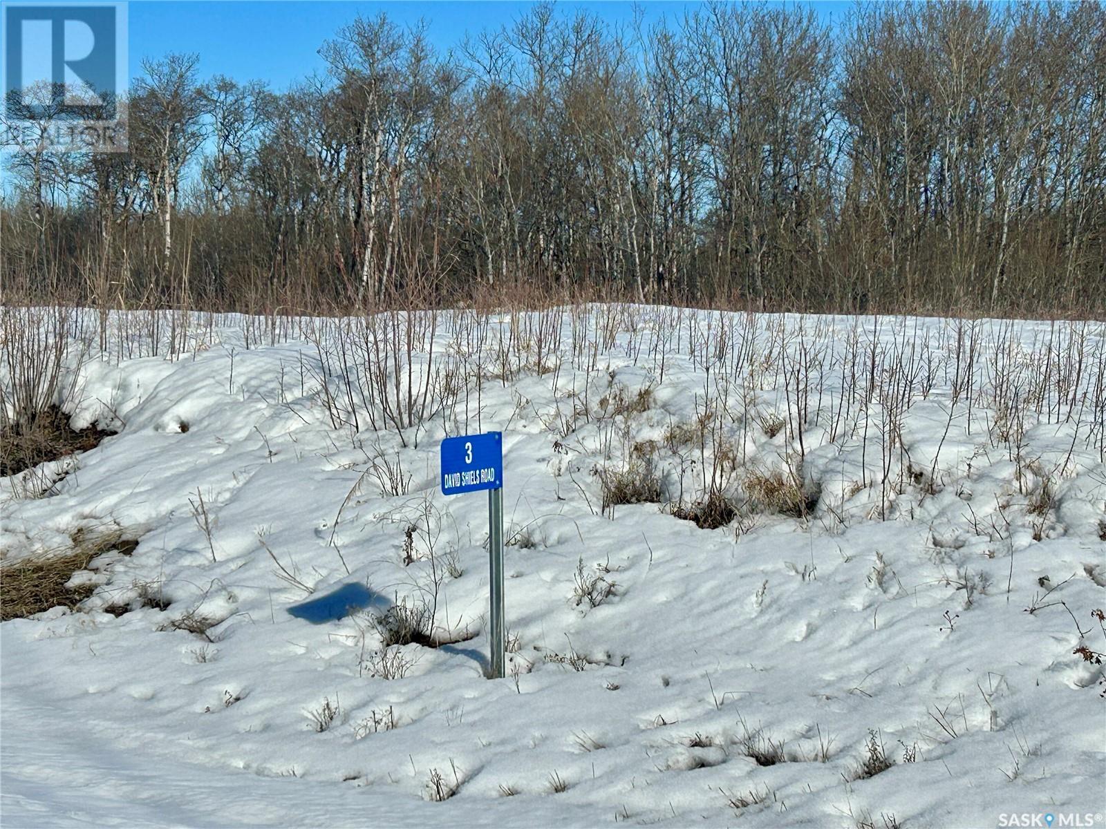 Lot 3 - David Shiels Road, Dundurn Rm No. 314, Saskatchewan  S7C 0B2 - Photo 1 - SK999829