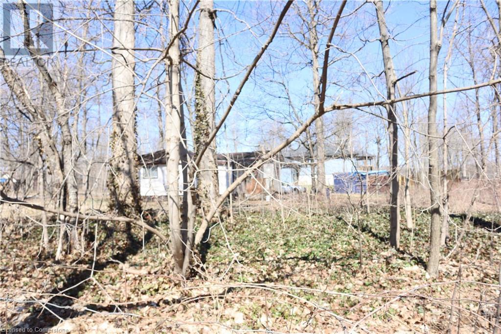 Property at 1008 RIDGEWOOD Avenue image 5
