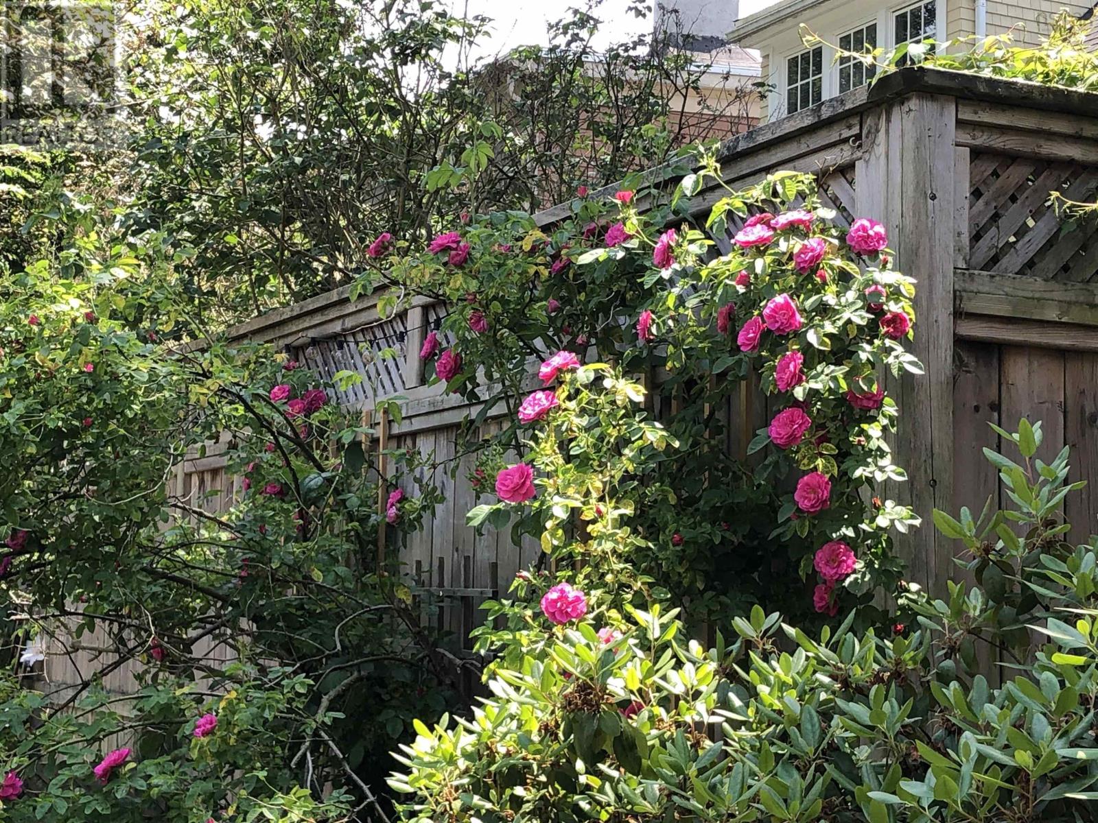 5658 Nora Bernard Street, Halifax, Nova Scotia  B3K 1B5 - Photo 36 - 202506121