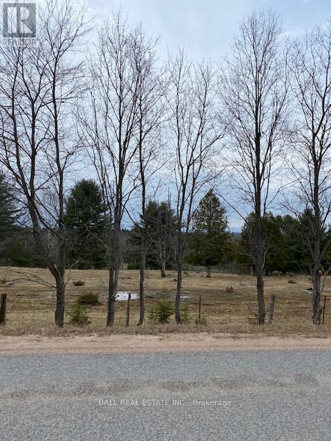 00 Detlor Road, Bancroft, Ontario  K0L 1C0 - Photo 3 - X12047870