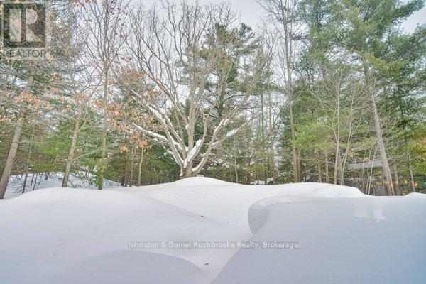 20 Twigs End E, Gravenhurst, Ontario  P0B 1J0 - Photo 18 - X12047874
