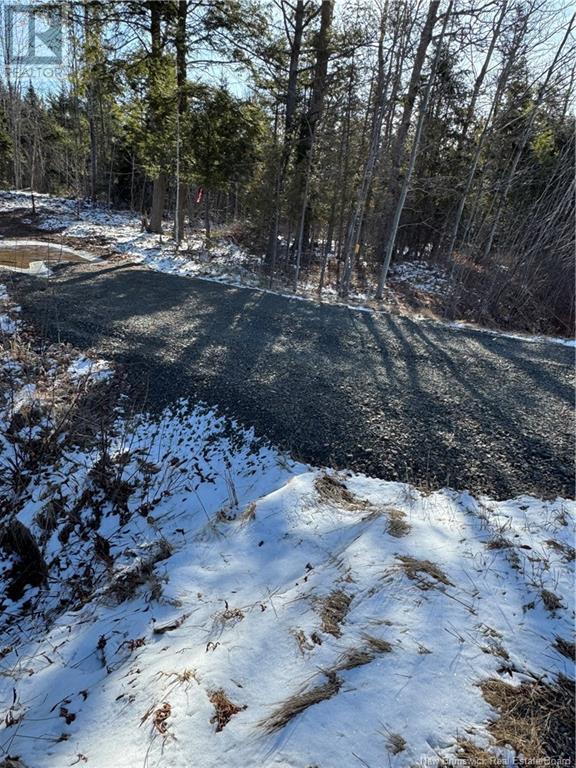 Route 105, Mill Cove, New Brunswick  E4C 3B2 - Photo 5 - NB115014