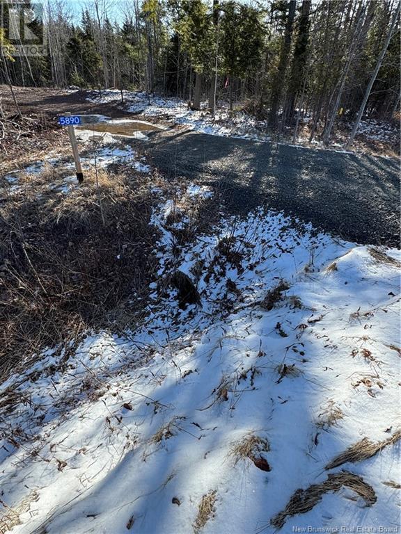 Route 105, Mill Cove, New Brunswick  E4C 3B2 - Photo 6 - NB115014