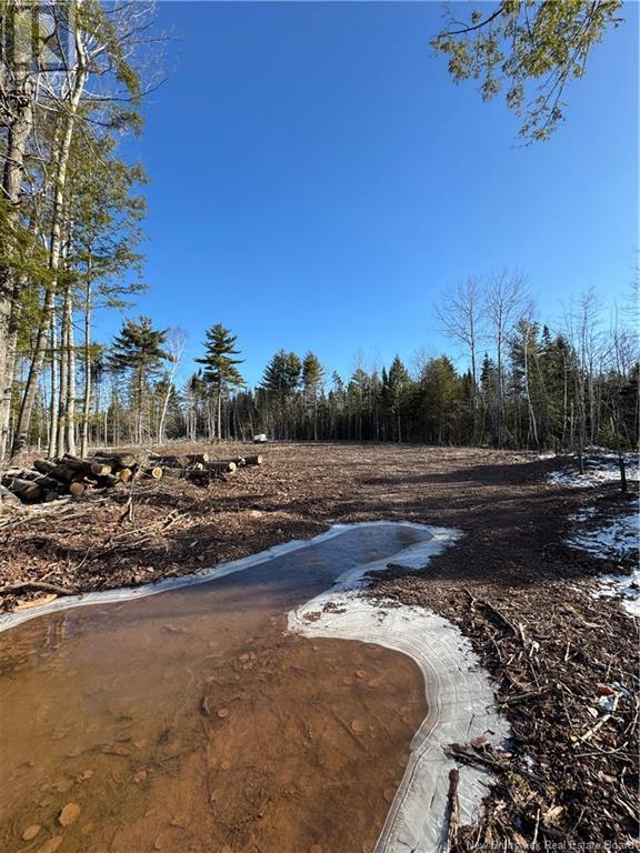 Route 105, Mill Cove, New Brunswick  E4C 3B2 - Photo 3 - NB115014