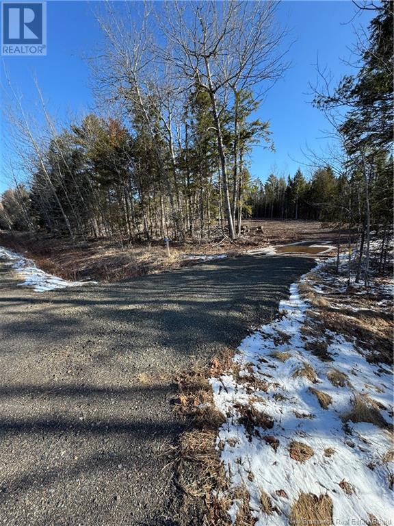 Route 105, Mill Cove, New Brunswick  E4C 3B2 - Photo 4 - NB115014