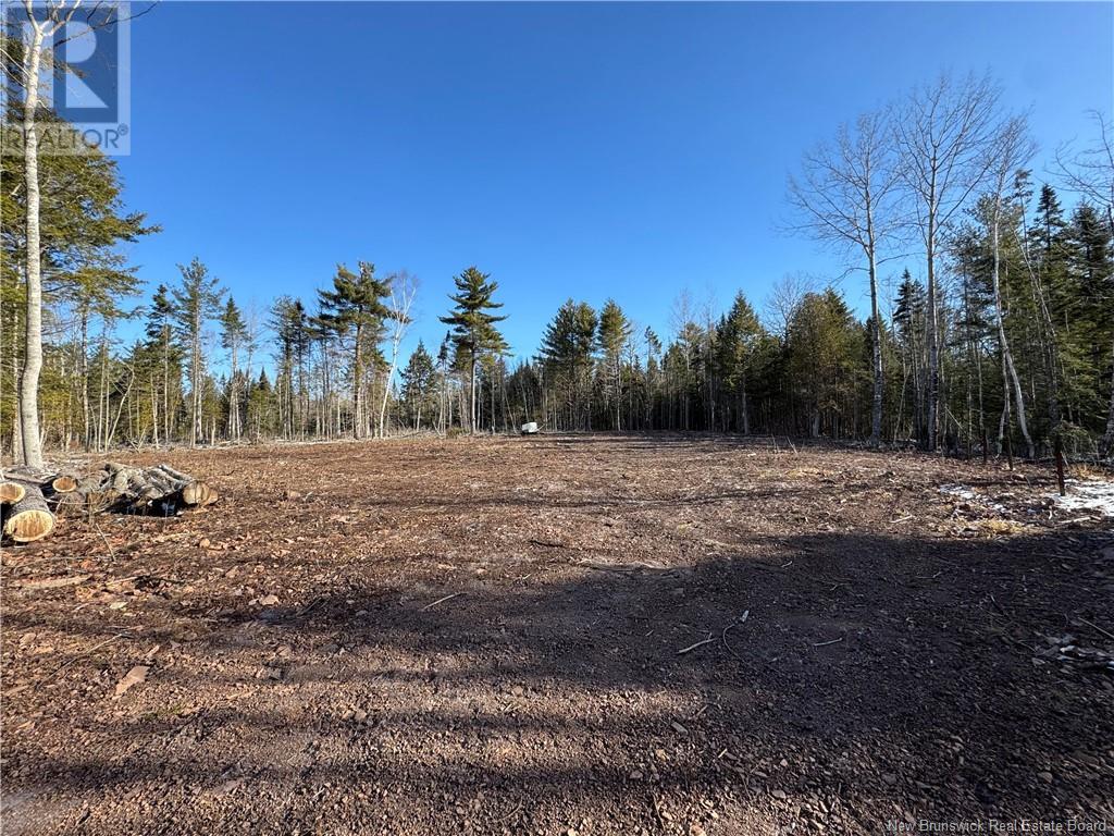 Route 105, Mill Cove, New Brunswick  E4C 3B2 - Photo 2 - NB115014