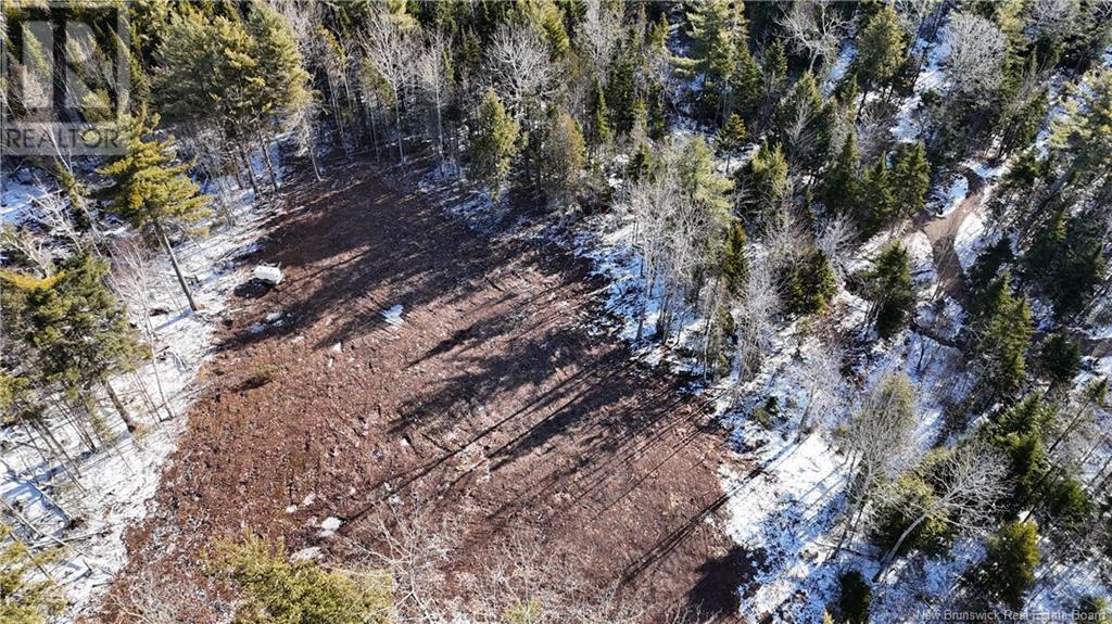Route 105, Mill Cove, New Brunswick  E4C 3B2 - Photo 8 - NB115014