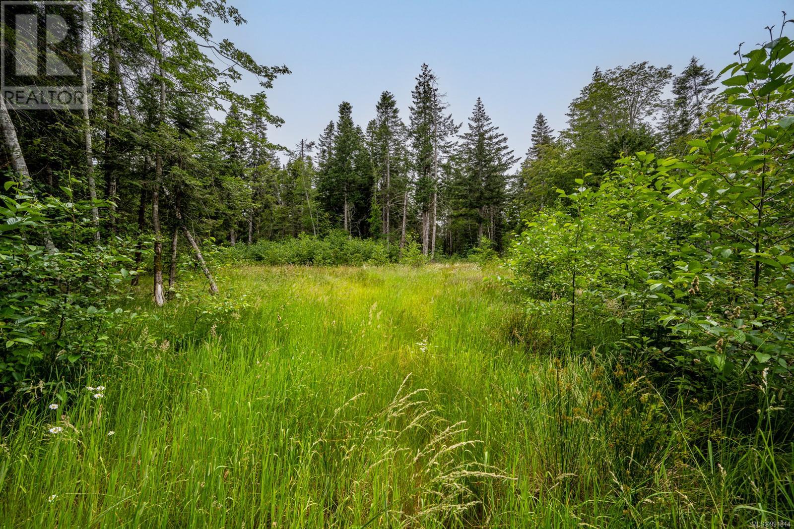 Lot 4 Anderton Rd N, Comox, British Columbia  V9M 3Z2 - Photo 6 - 991814