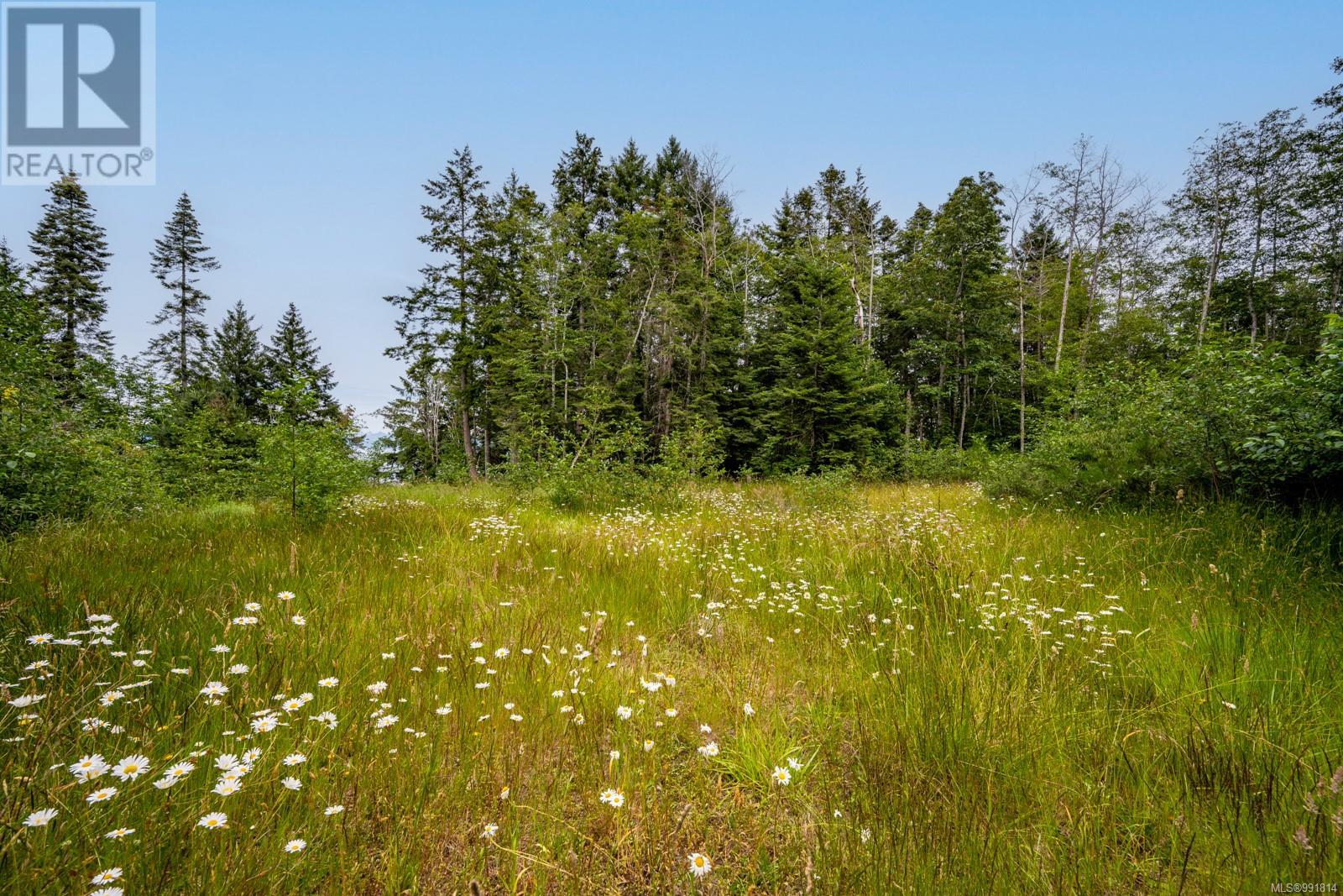 Lot 4 Anderton Rd N, Comox, British Columbia  V9M 3Z2 - Photo 5 - 991814