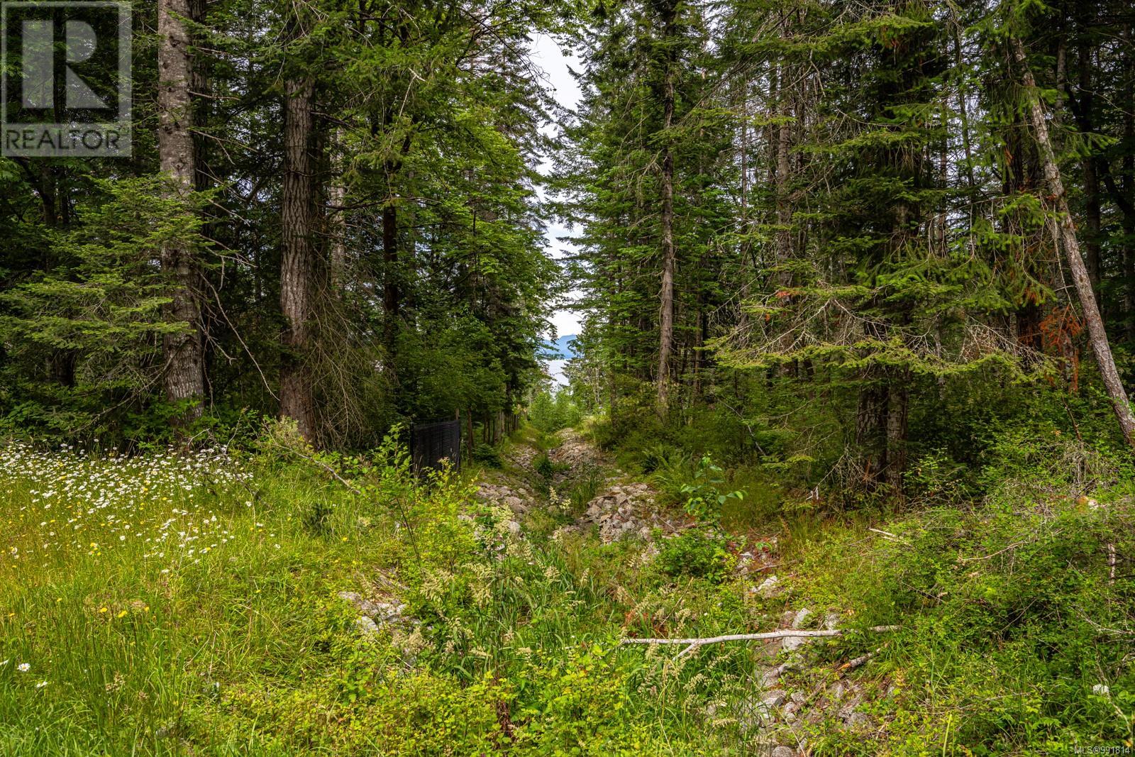 Lot 4 Anderton Rd N, Comox, British Columbia  V9M 3Z2 - Photo 19 - 991814