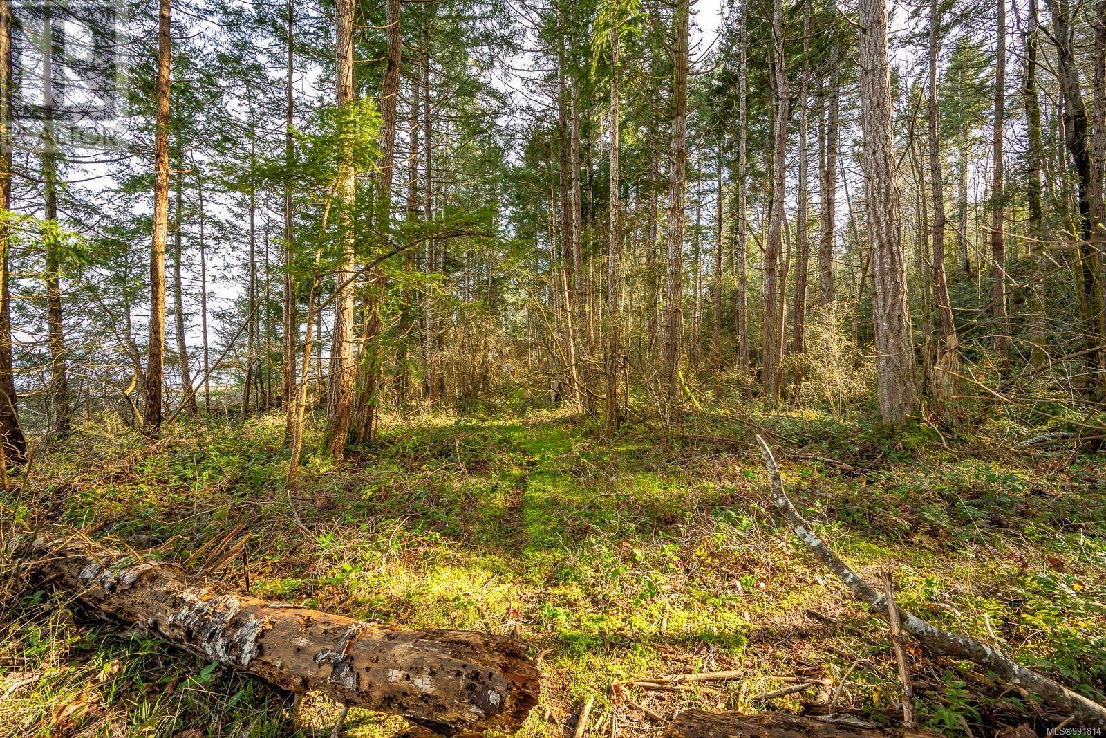 Lot 4 Anderton Rd N, Comox, British Columbia  V9M 3Z2 - Photo 28 - 991814