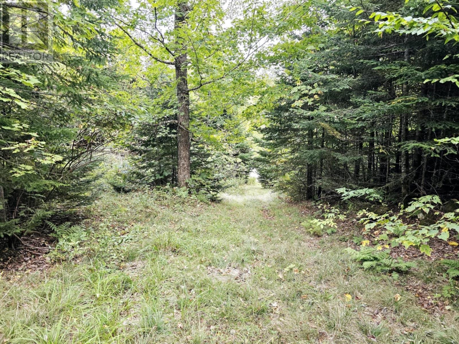 880 Old Debert Road, Byers Lake, Nova Scotia  B0K 1V0 - Photo 6 - 202506138