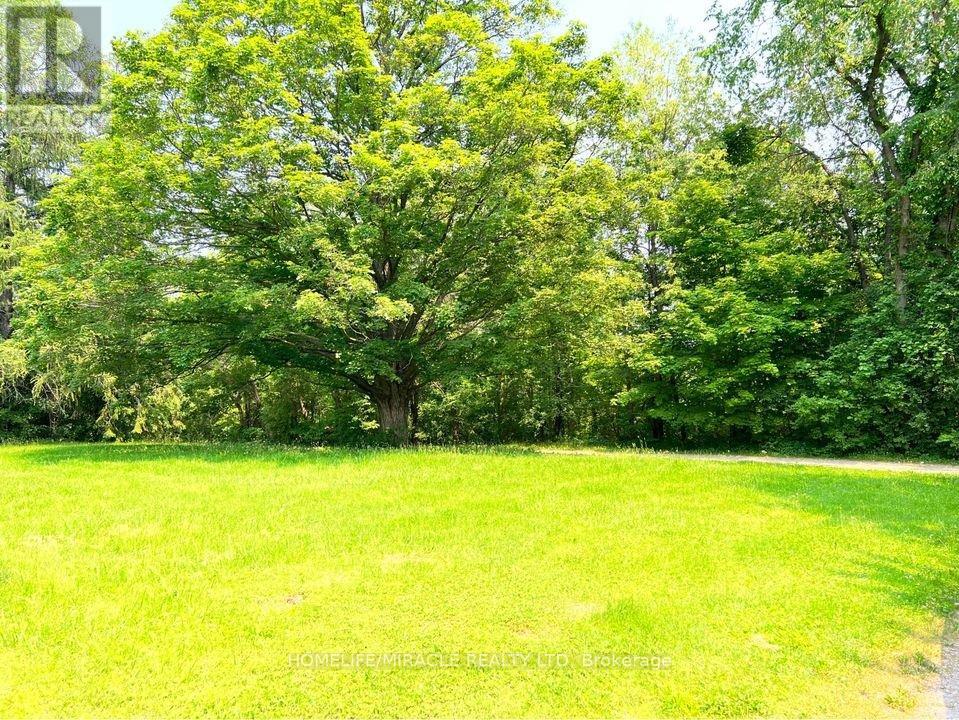 2216 Olde Base Line Road, Caledon, Ontario  L7C 0J3 - Photo 15 - W12048012