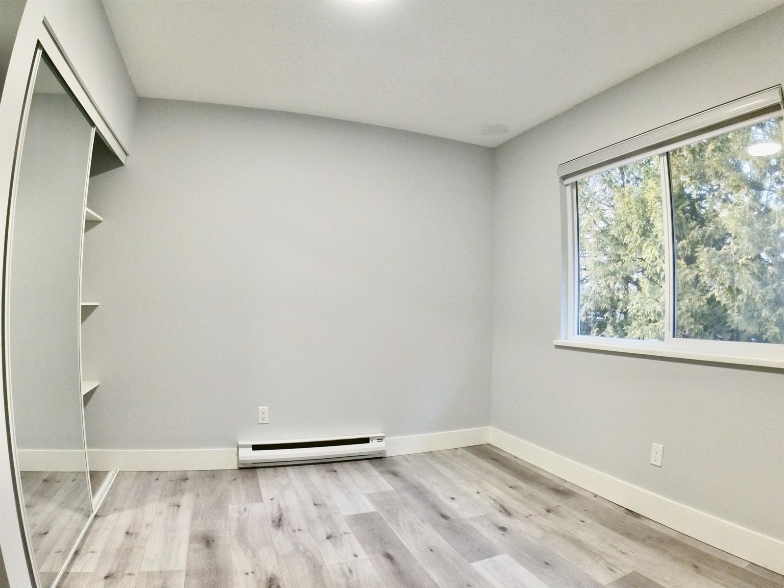 168 Springfield Drive, Langley, British Columbia  V4W 3K9 - Photo 9 - R2980832