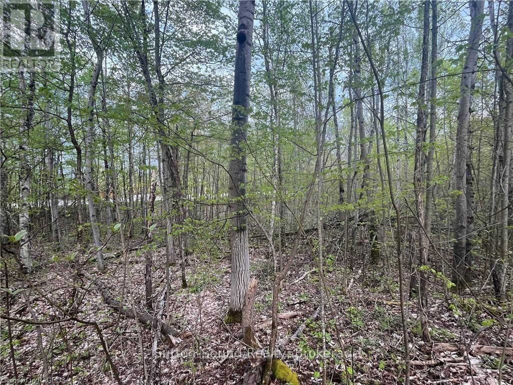 Lot 5 Grey  Road 1, Georgian Bluffs, Ontario  N0H 2T0 - Photo 2 - X12048180