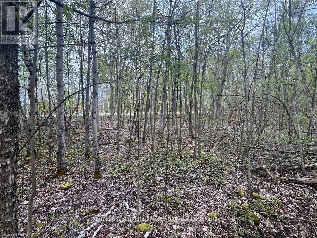 Lot 5 Grey  Road 1, Georgian Bluffs, Ontario  N0H 2T0 - Photo 3 - X12048180
