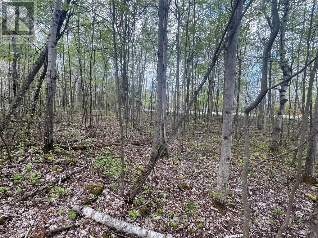 Lot 5 Grey  Road 1, Georgian Bluffs, Ontario  N0H 2T0 - Photo 4 - X12048180