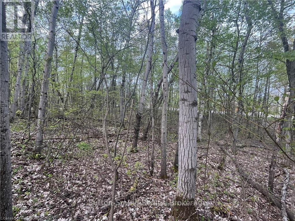 Lot 6 Grey Road 1, Georgian Bluffs, Ontario  N0H 2T0 - Photo 2 - X12048188