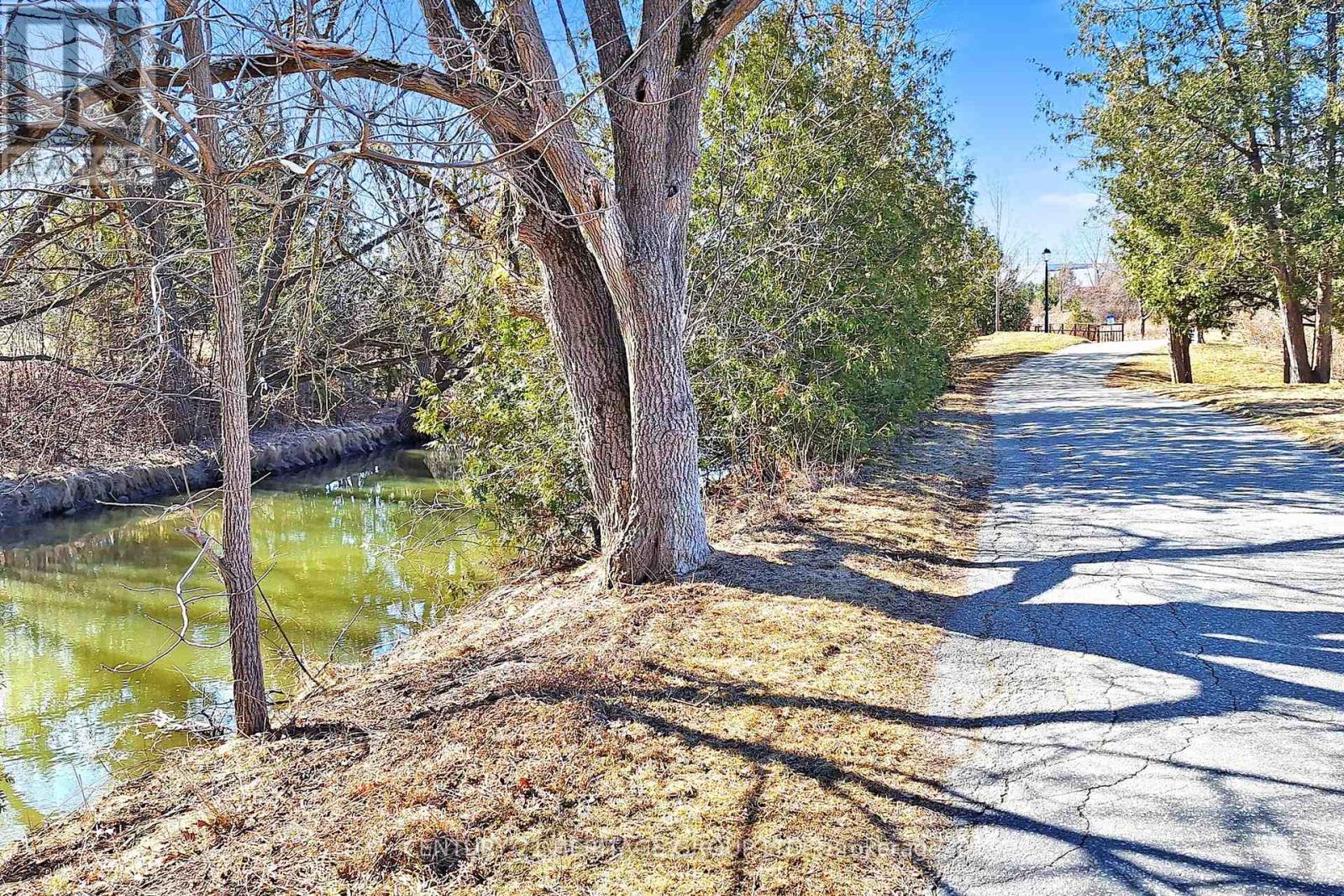 238 William Roe Boulevard, Newmarket, Ontario  L3Y 1B5 - Photo 38 - N12048170