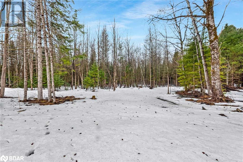 7629 Highway 35, Norland, Ontario  K0M 2L0 - Photo 40 - 40711505