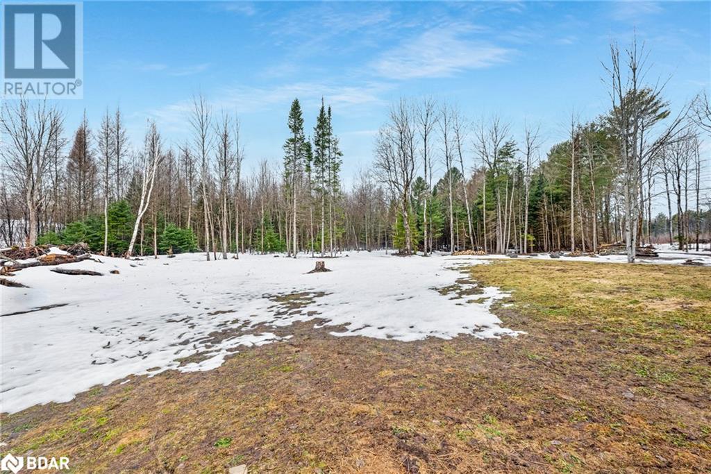7629 Highway 35, Norland, Ontario  K0M 2L0 - Photo 35 - 40711505