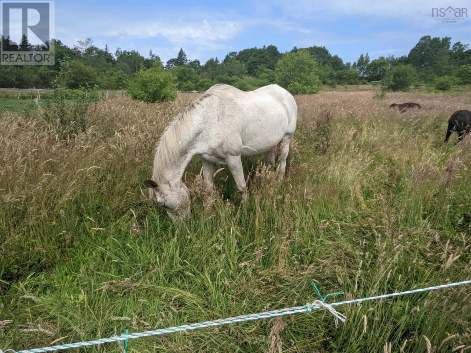50 Highway 103, Clyde River, Nova Scotia  B0W 1R0 - Photo 25 - 202506159