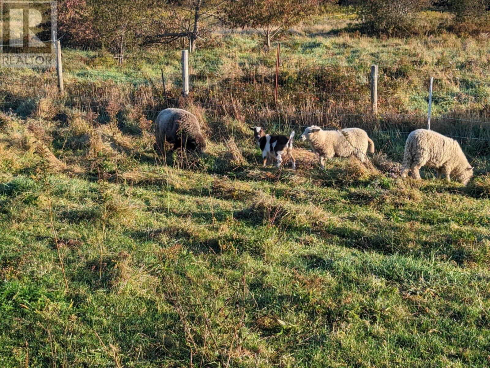 50 Highway 103, Clyde River, Nova Scotia  B0W 1R0 - Photo 28 - 202506159