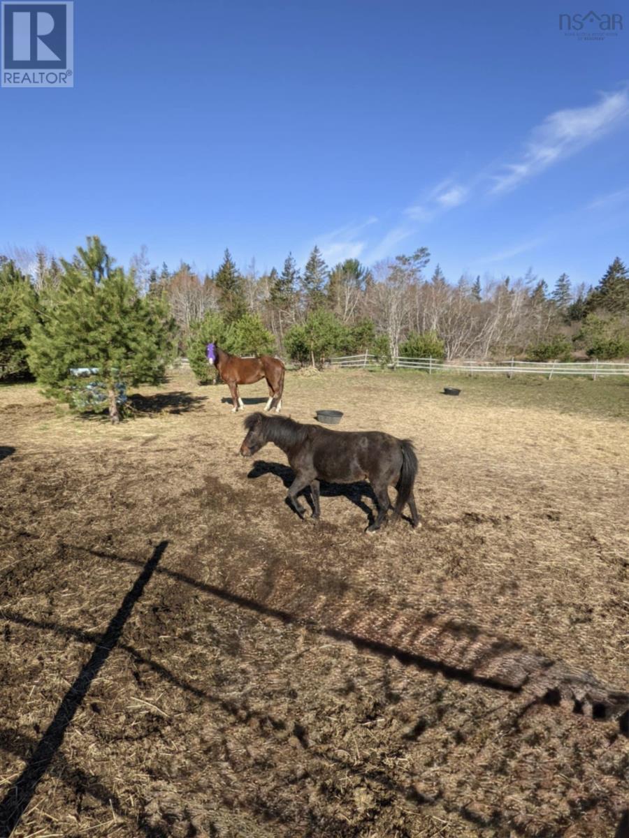 50 Highway 103, Clyde River, Nova Scotia  B0W 1R0 - Photo 30 - 202506159