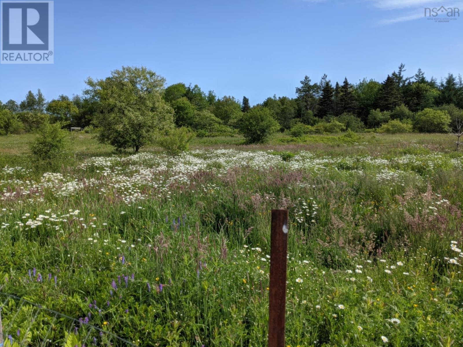 50 Highway 103, Clyde River, Nova Scotia  B0W 1R0 - Photo 32 - 202506159