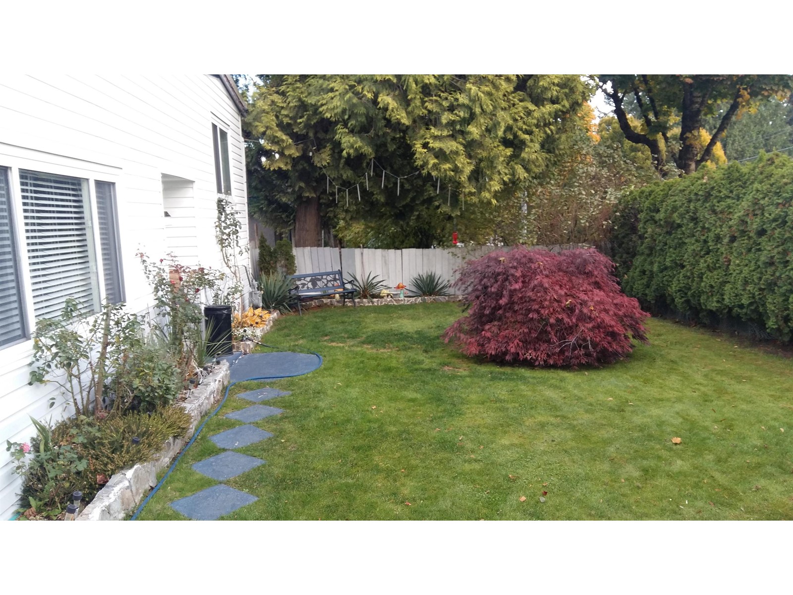 12905 104 Avenue, Surrey, British Columbia  V3T 1T6 - Photo 6 - R2975353