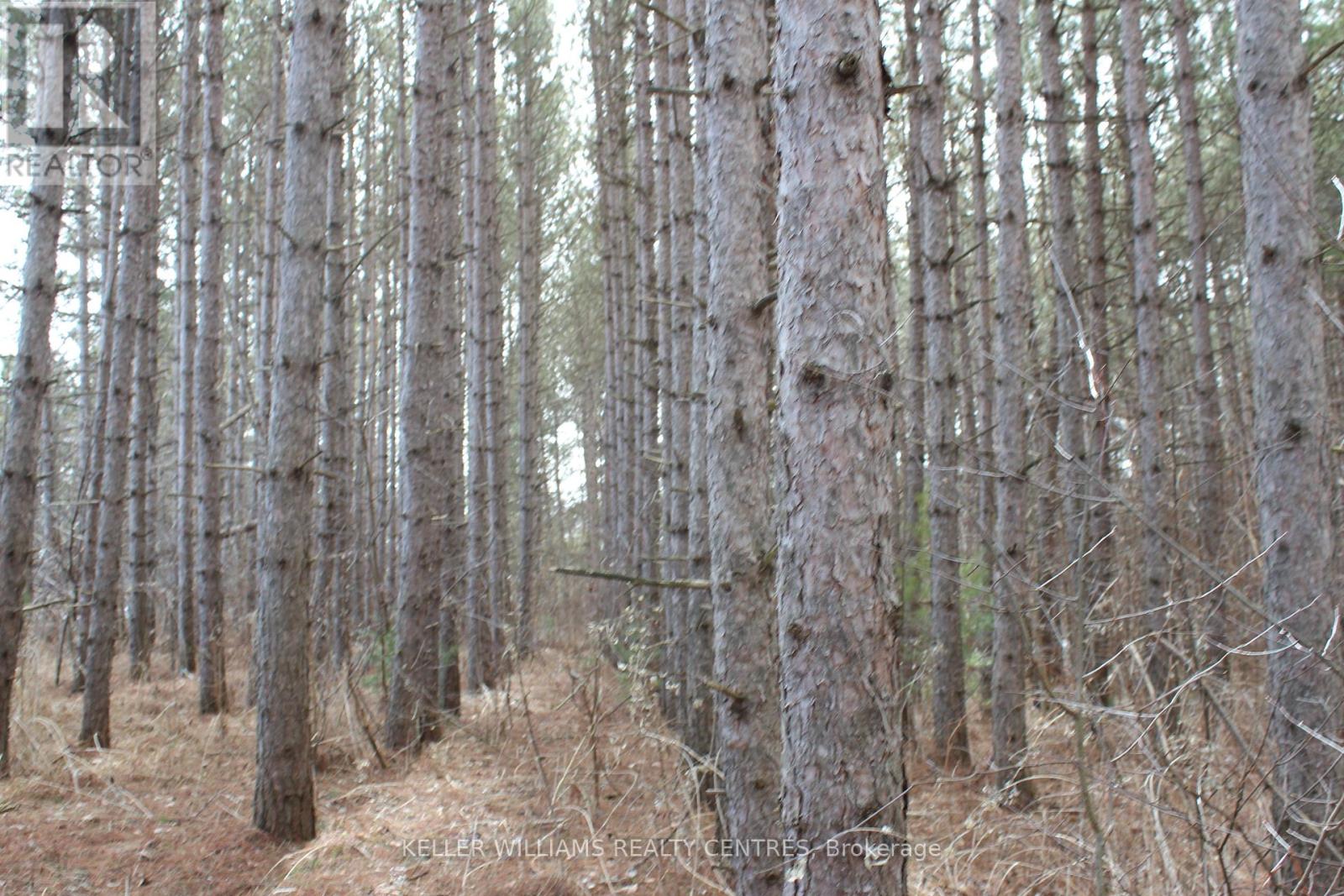 Tba Concession Rd 2, Uxbridge, Ontario  L9P 0H2 - Photo 10 - N12048446