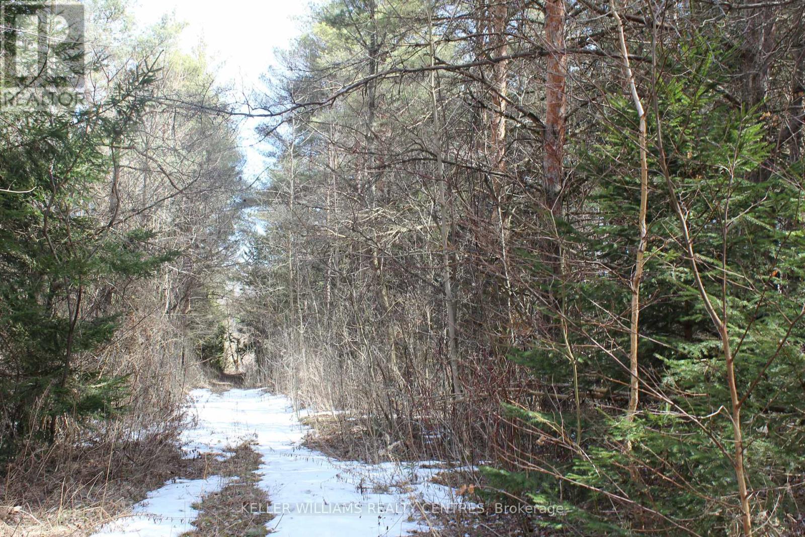 Tba Concession Rd 2, Uxbridge, Ontario  L9P 0H2 - Photo 2 - N12048446