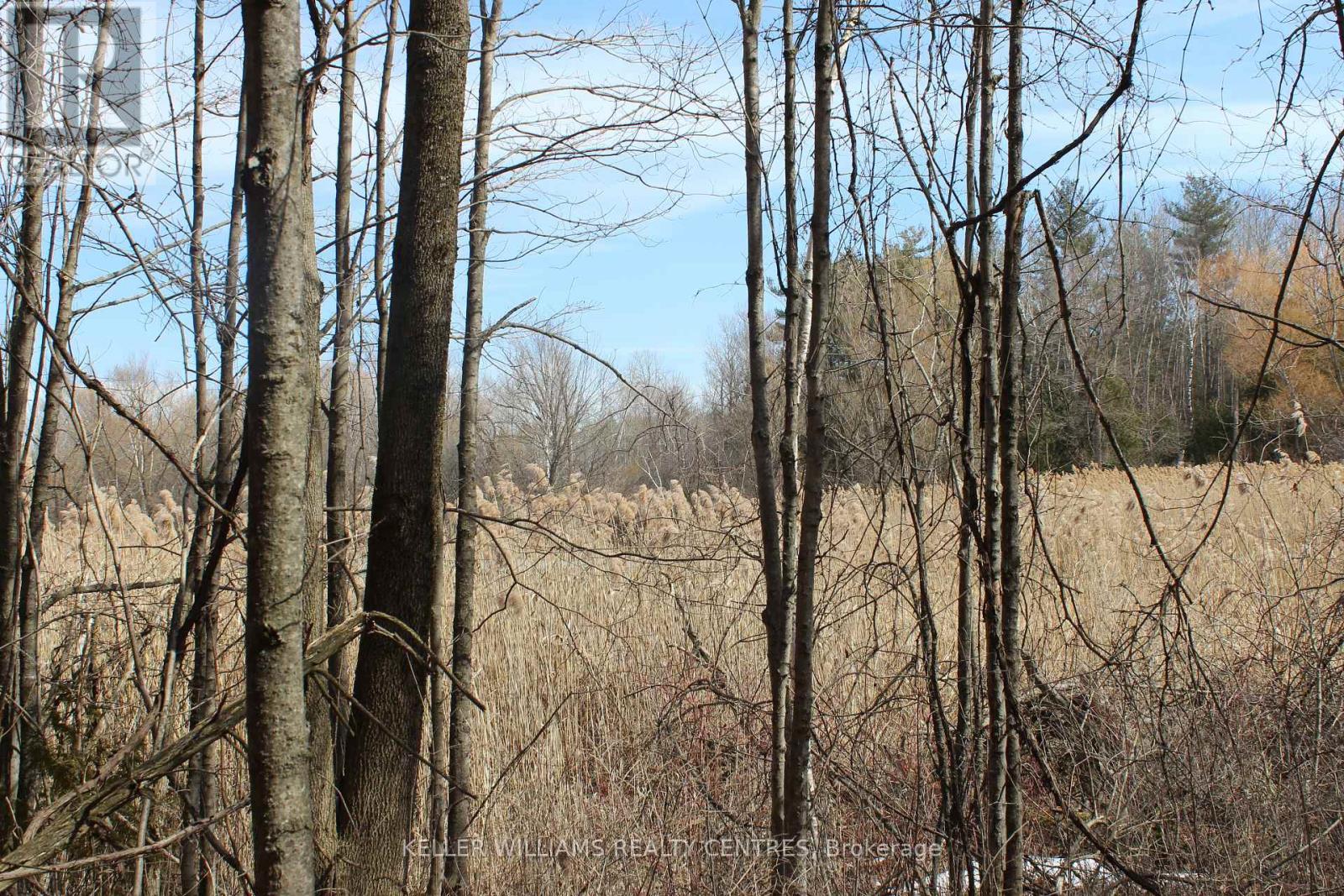 Tba Concession Rd 2, Uxbridge, Ontario  L9P 0H2 - Photo 4 - N12048446