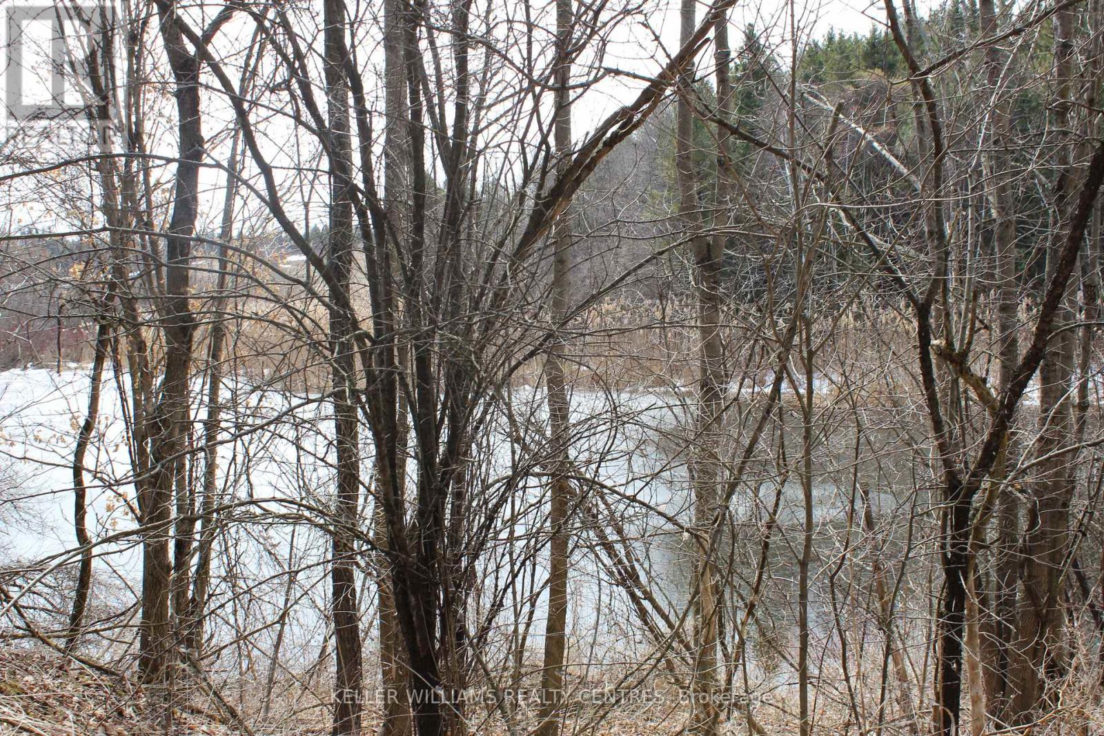 Tba Concession Rd 2, Uxbridge, Ontario  L9P 0H2 - Photo 7 - N12048446