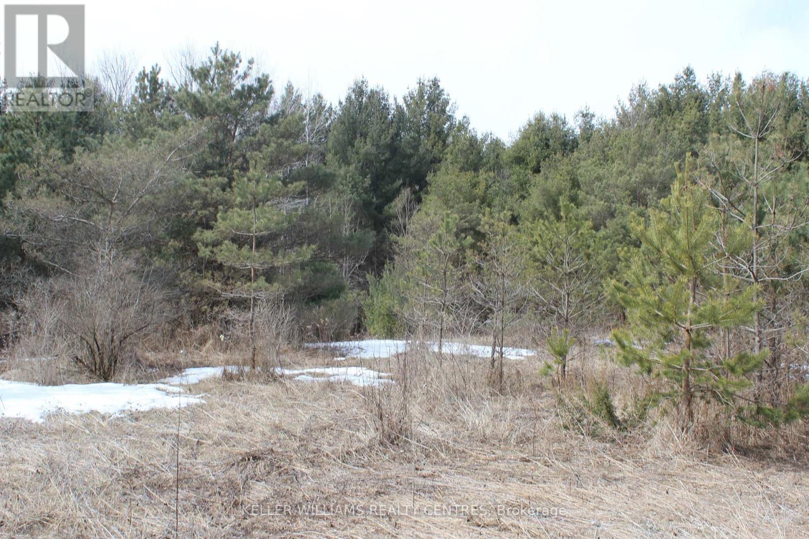Tba Concession Rd 2, Uxbridge, Ontario  L9P 0H2 - Photo 8 - N12048446