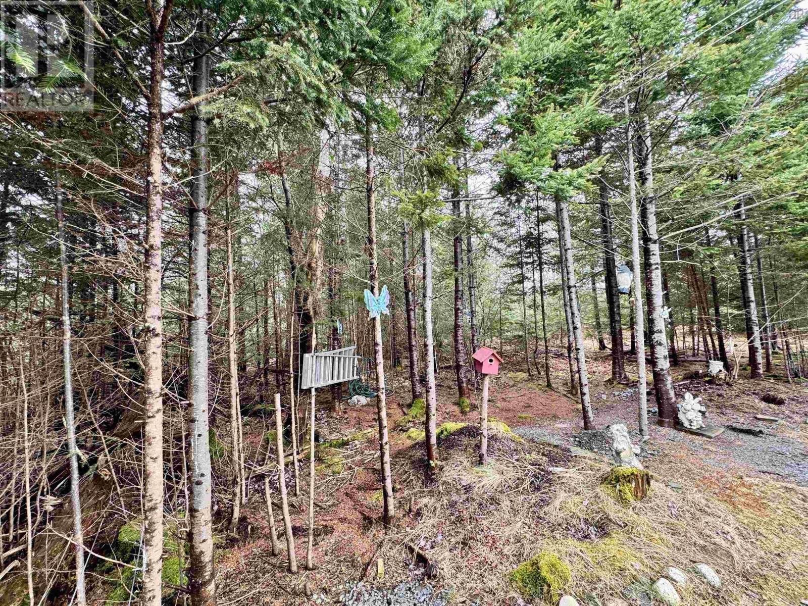 7 Eleventh Street, Lucasville, Nova Scotia  B4B 0S3 - Photo 46 - 202504050