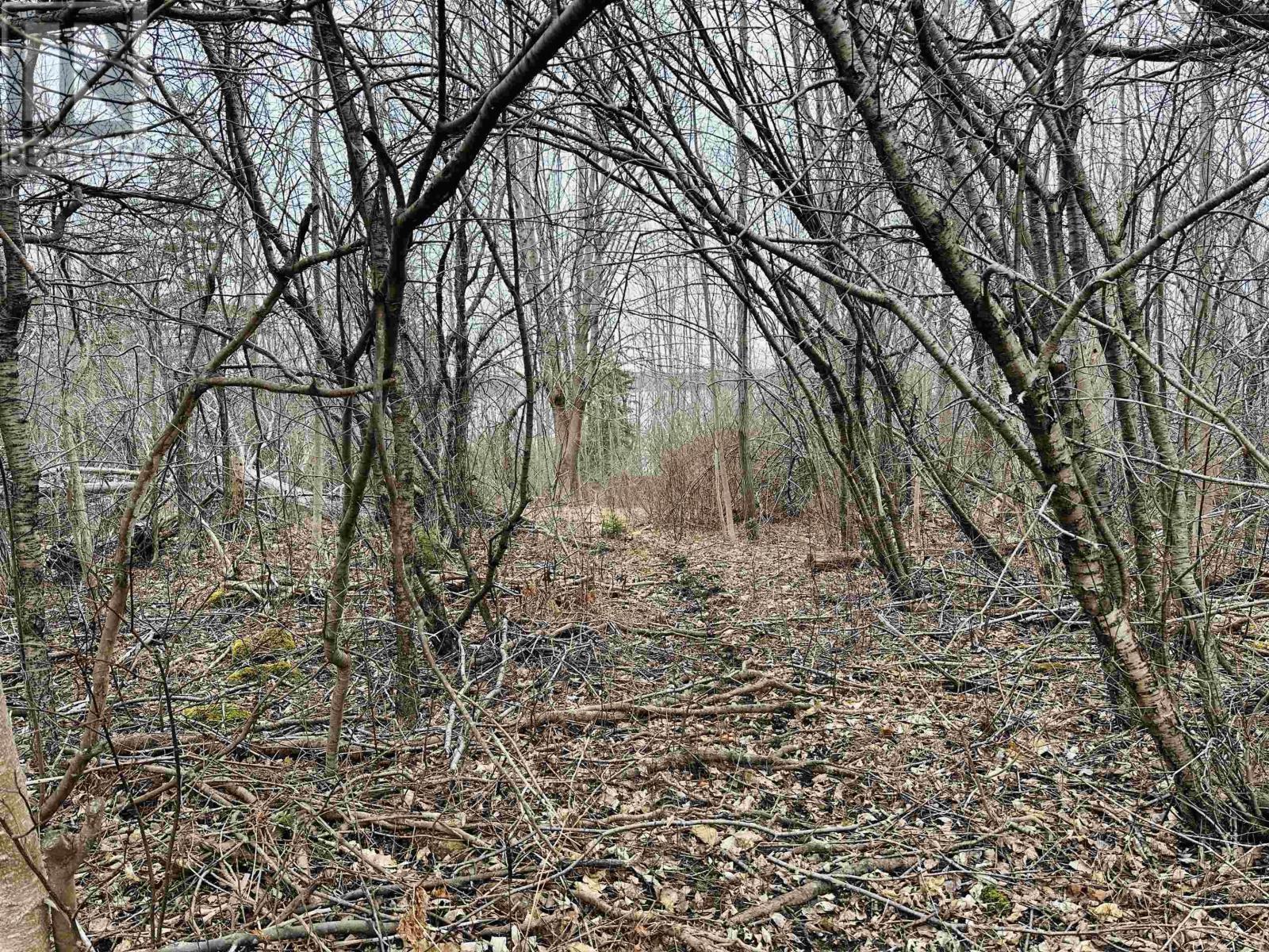 5681 Pictou Landing Road, Pictou Landing, Nova Scotia  B0K 1X0 - Photo 42 - 202506169