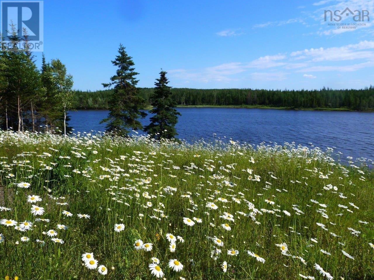 351 Helmuts Lane, Cleveland, Nova Scotia  B0E 1J0 - Photo 28 - 202506173