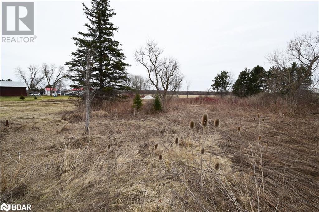 4797 County Road 90 Road, Essa, Ontario  L4M 4S4 - Photo 4 - 40711576