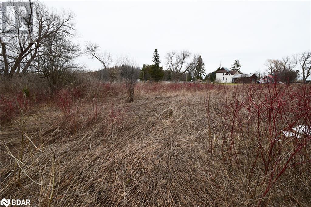 4797 County Road 90 Road, Essa, Ontario  L4M 4S4 - Photo 5 - 40711576