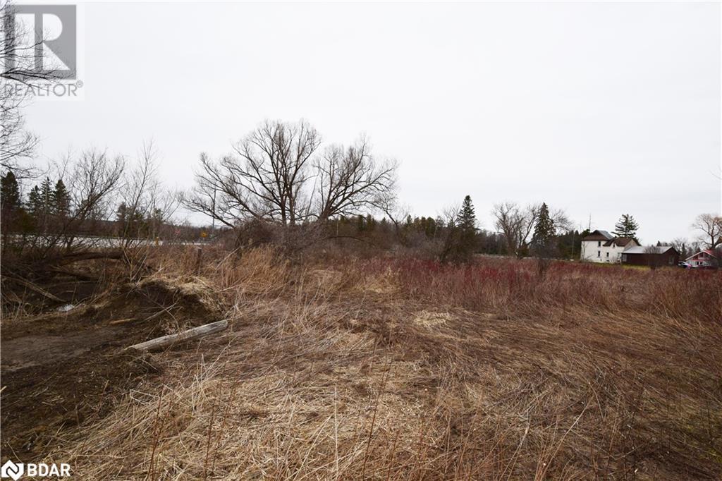 4797 County Road 90 Road, Essa, Ontario  L4M 4S4 - Photo 6 - 40711576