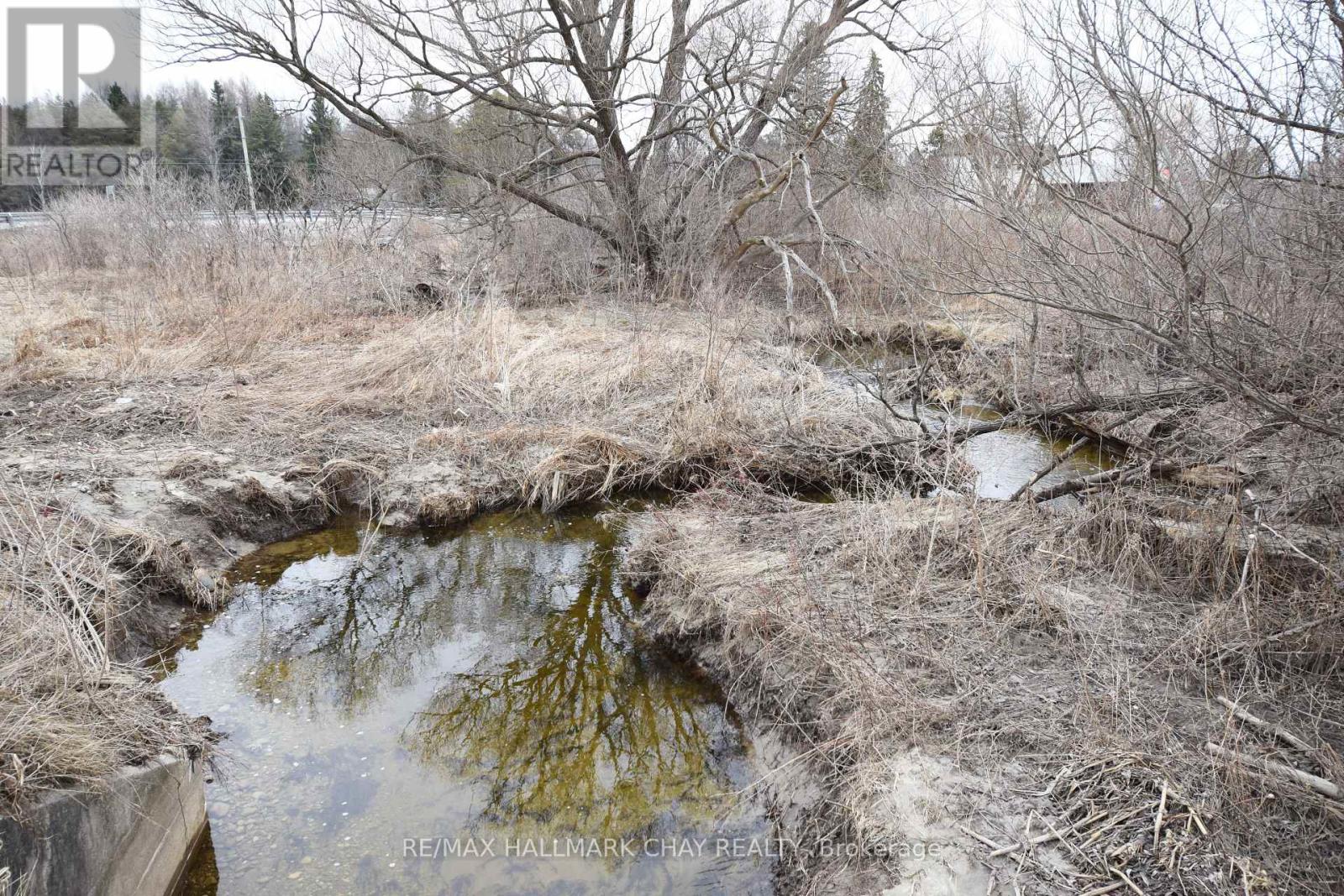 4797 County Road 90 Road, Essa, Ontario  L4M 4S4 - Photo 3 - N12049128