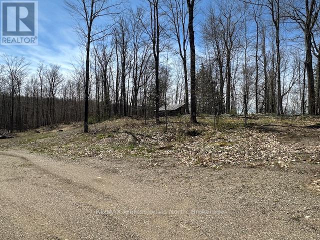 1011 Kc Dam Road, Minden Hills, Ontario  K0M 2K0 - Photo 31 - X12048512
