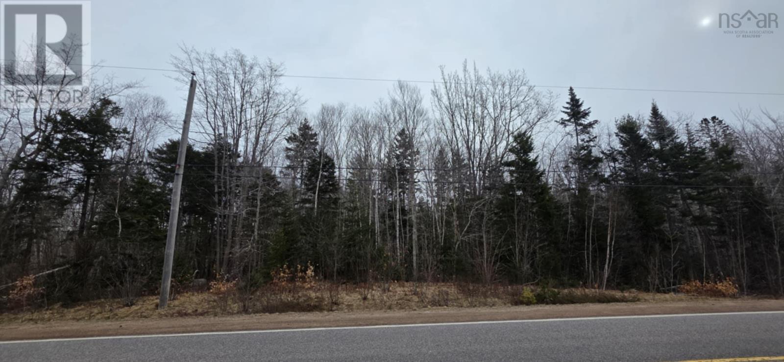 Lot 1/2 Highway 8, Graywood, Nova Scotia  B0S 1A0 - Photo 6 - 202506103