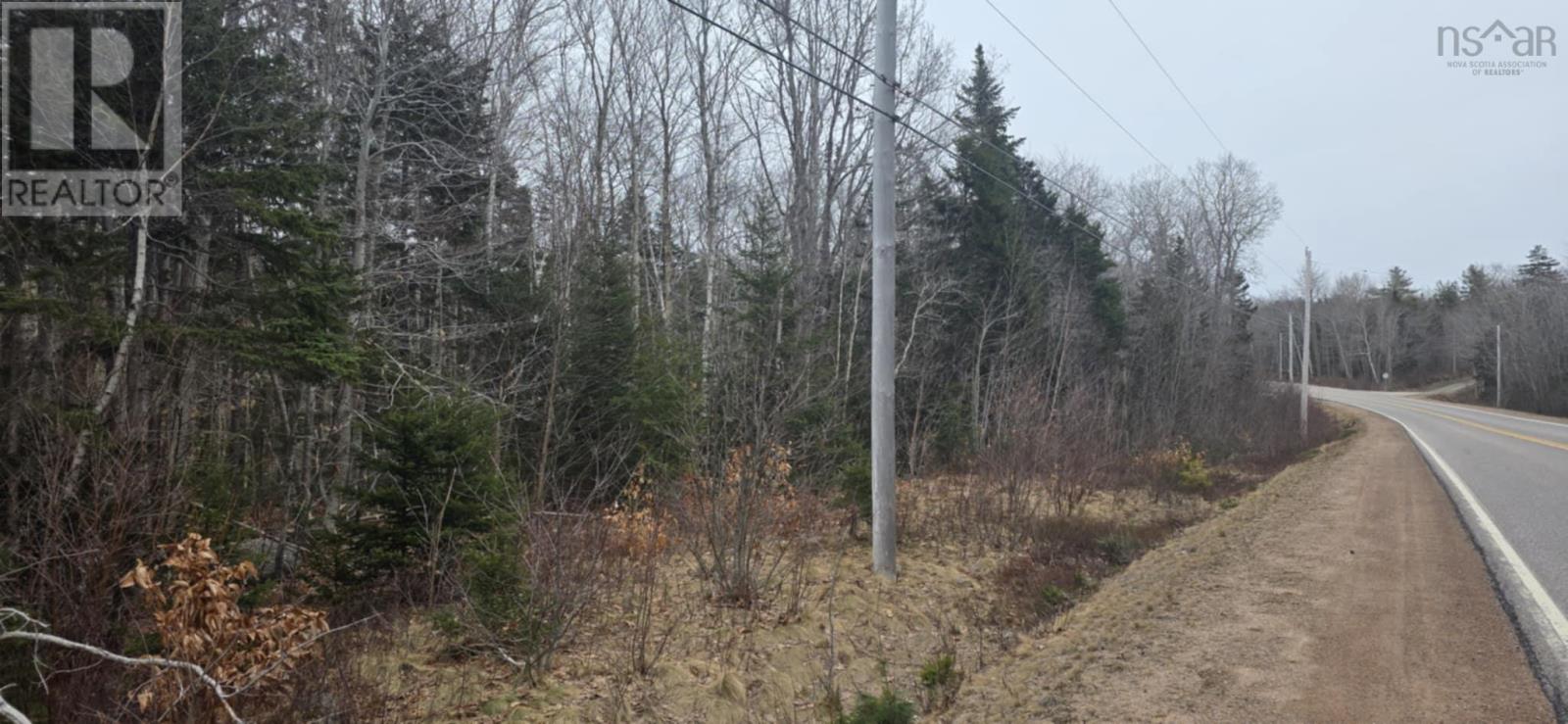 Lot 1/2 Highway 8, Graywood, Nova Scotia  B0S 1A0 - Photo 7 - 202506103
