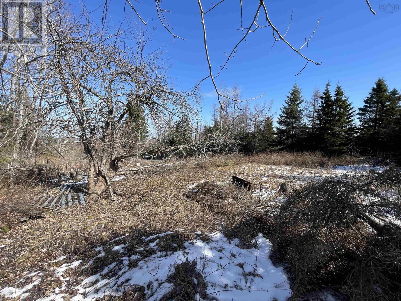 Lot 87-2 Highway 6, Wallace Ridge, Nova Scotia  B0K 1E0 - Photo 10 - 202506180